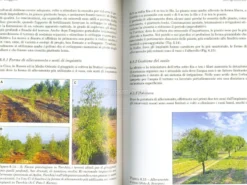 Frutti Insoliti