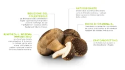 Fungo Shiitake Secco