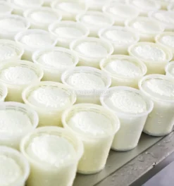 Fuscella per Formaggio e Ricotta - 40/70g