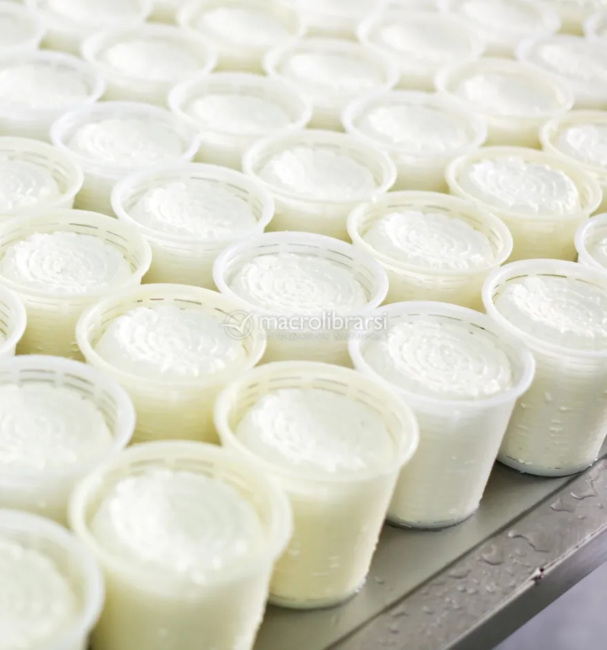 Fuscella per Formaggio e Ricotta - 40/70g