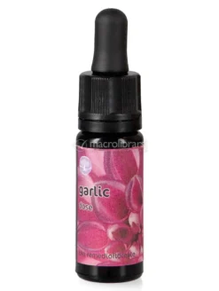 Garlic - Fiori Californiani - Dose