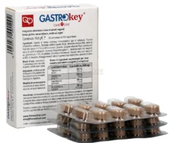 Gastrokey