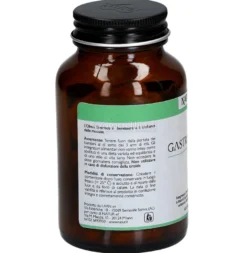 Gastroplex - Integratore di Olmo, Cavolo, Gamma Orizanolo, Vitamina C e Zinco - Capsule