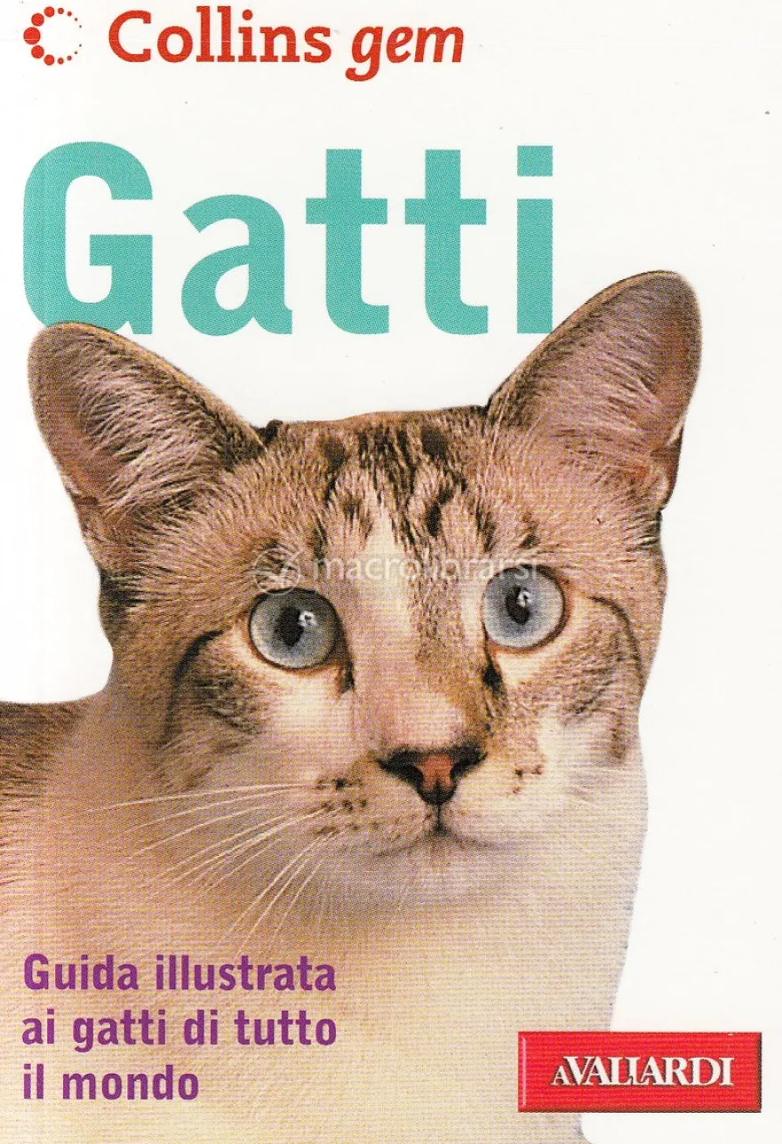 Gatti