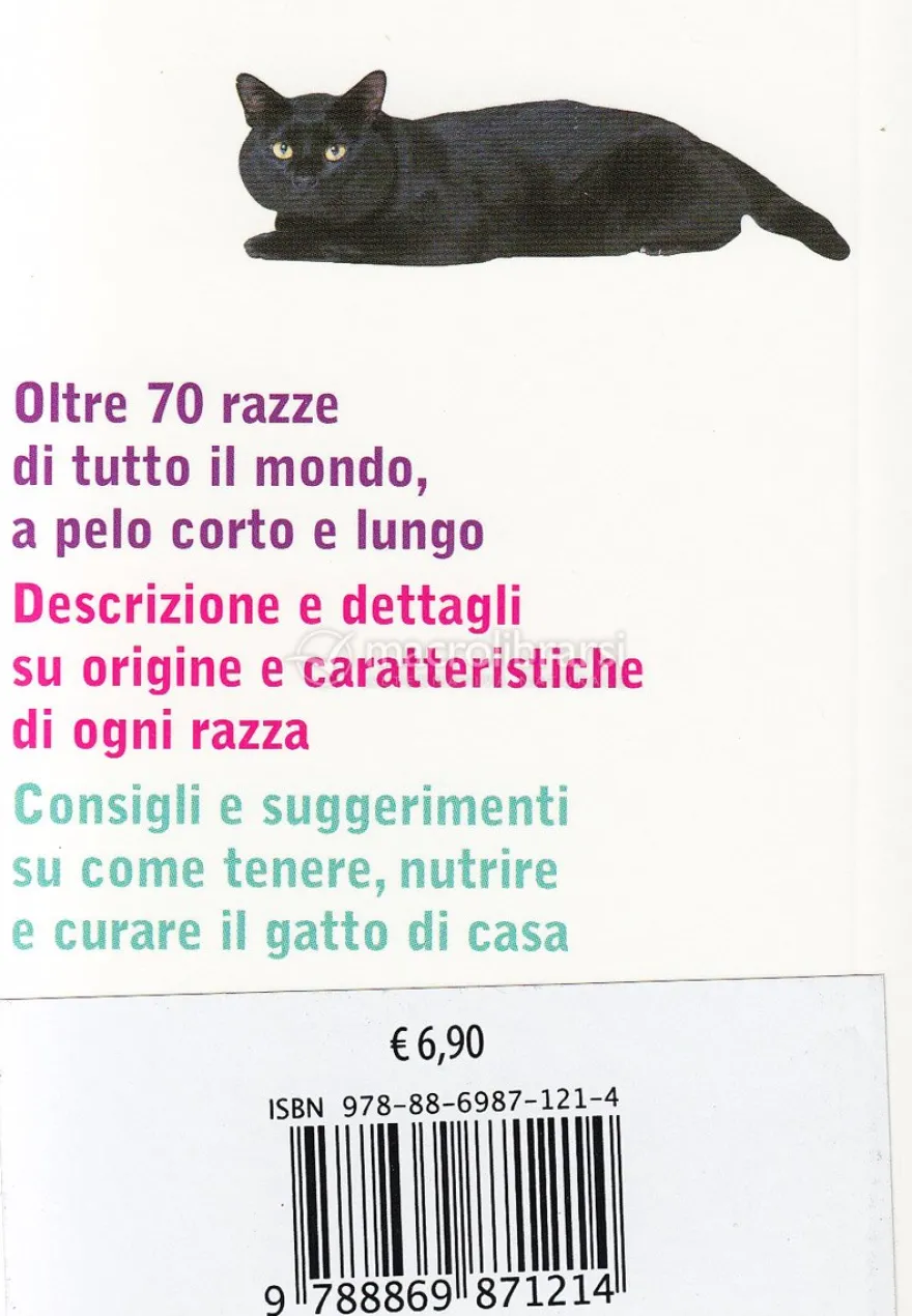 Gatti