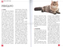 Gatti - Atlanti Natura