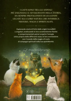 Gatti - Guida Mistica