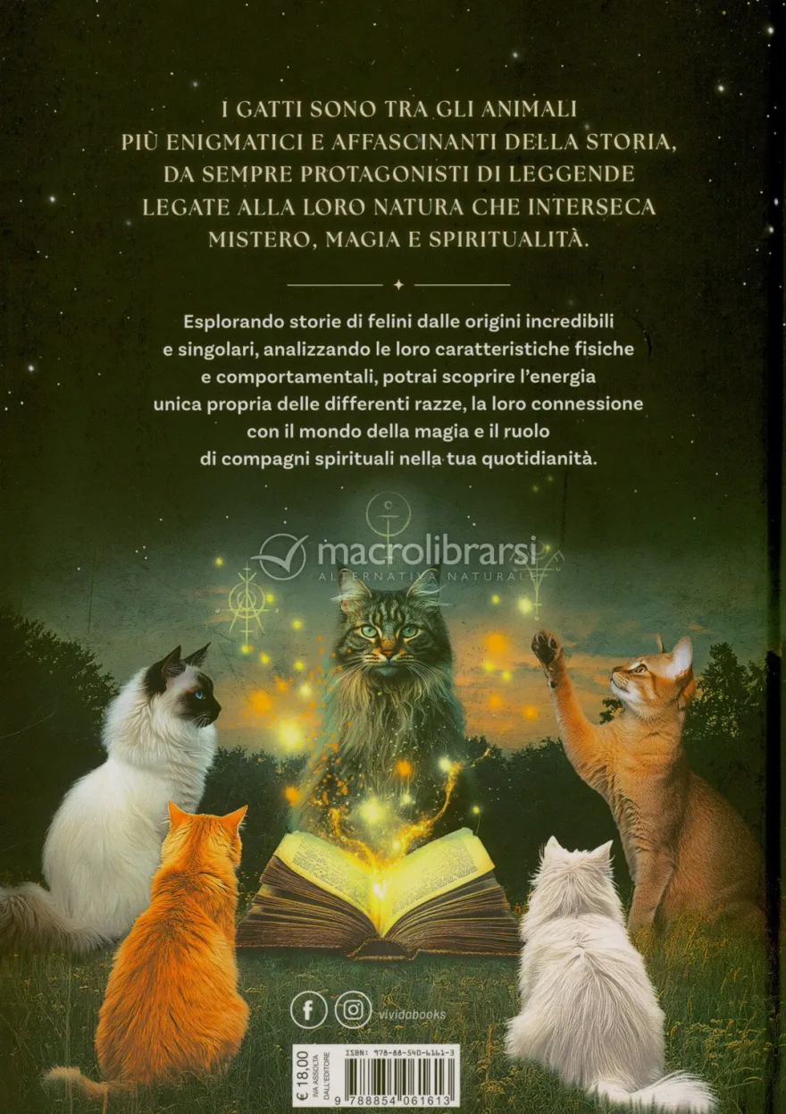 Gatti - Guida Mistica