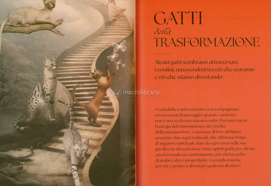 Gatti - Guida Mistica
