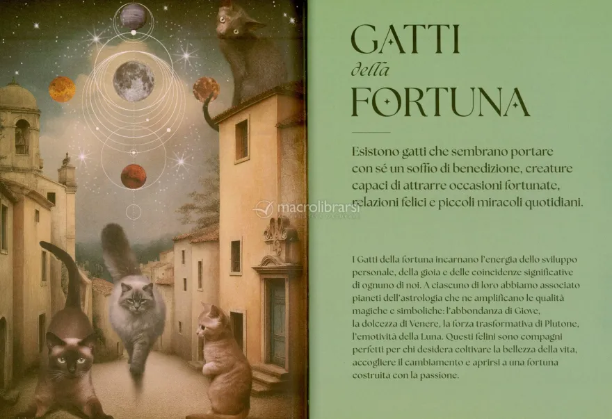 Gatti - Guida Mistica