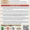 Germogli di Adzuki Rosso Bio