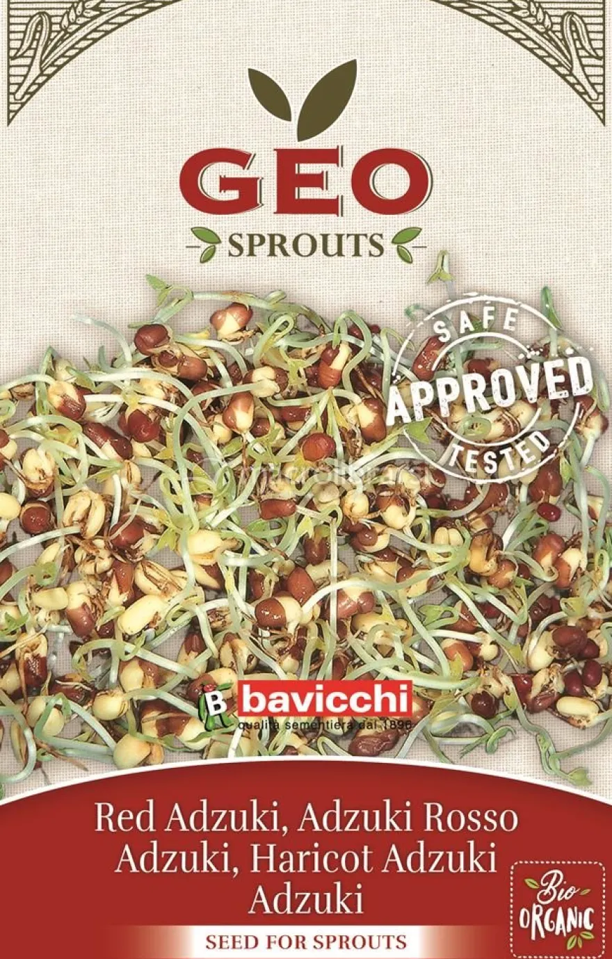 Germogli di Adzuki Rosso Bio