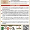 Germogli di Basilico Bio