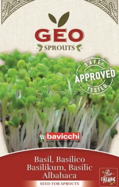 Germogli di Basilico Bio