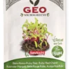 Germogli di Bieta Rossa Ruby Red Bio - Geo Microgreens