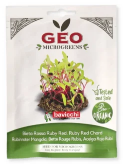 Germogli di Bieta Rossa Ruby Red Bio - Geo Microgreens