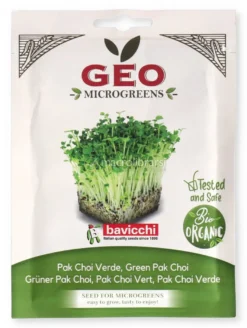 Germogli di Cavolo Pack Choi Verde Bio - Geo Microgreens