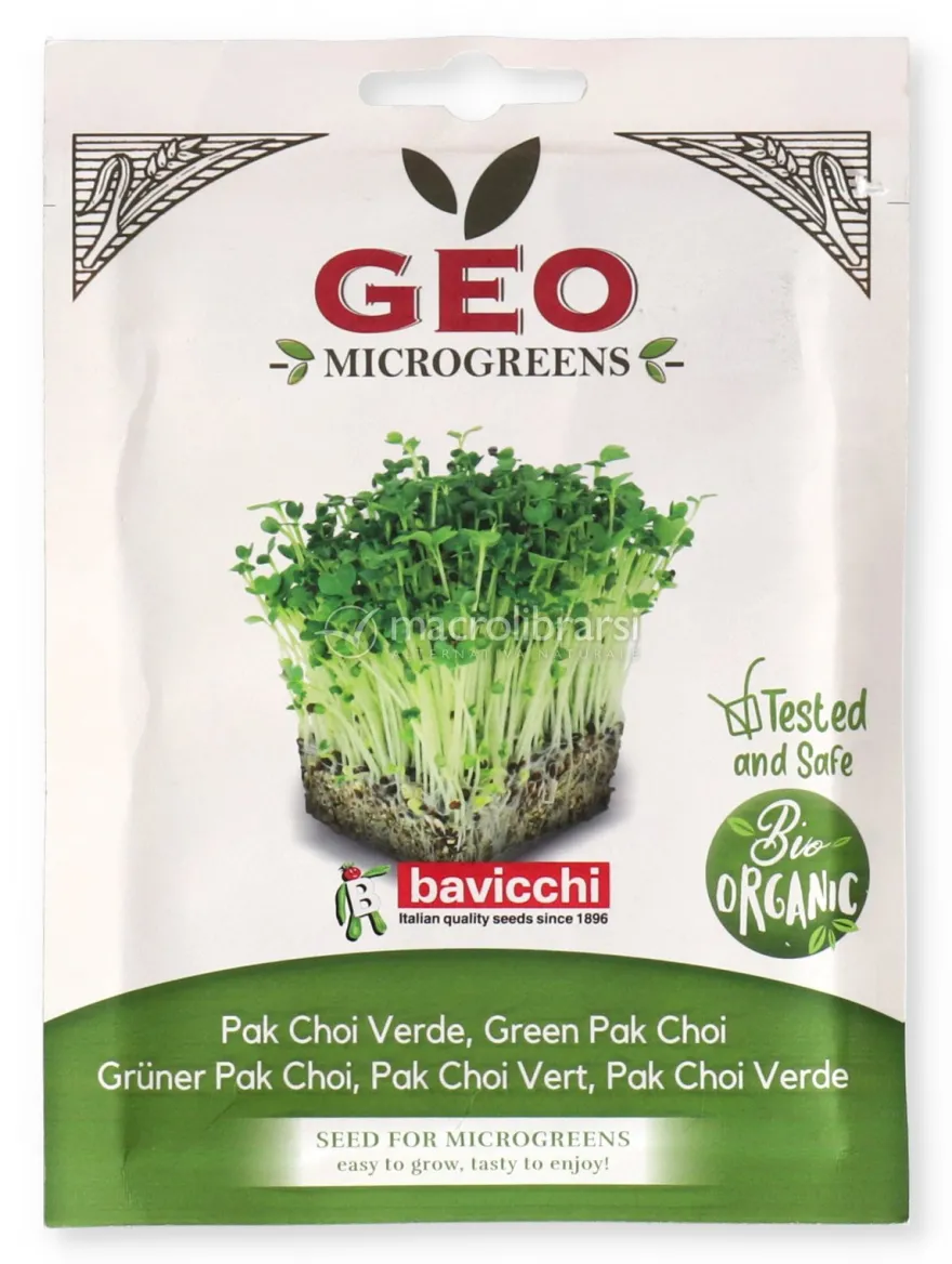 Germogli di Cavolo Pack Choi Verde Bio - Geo Microgreens