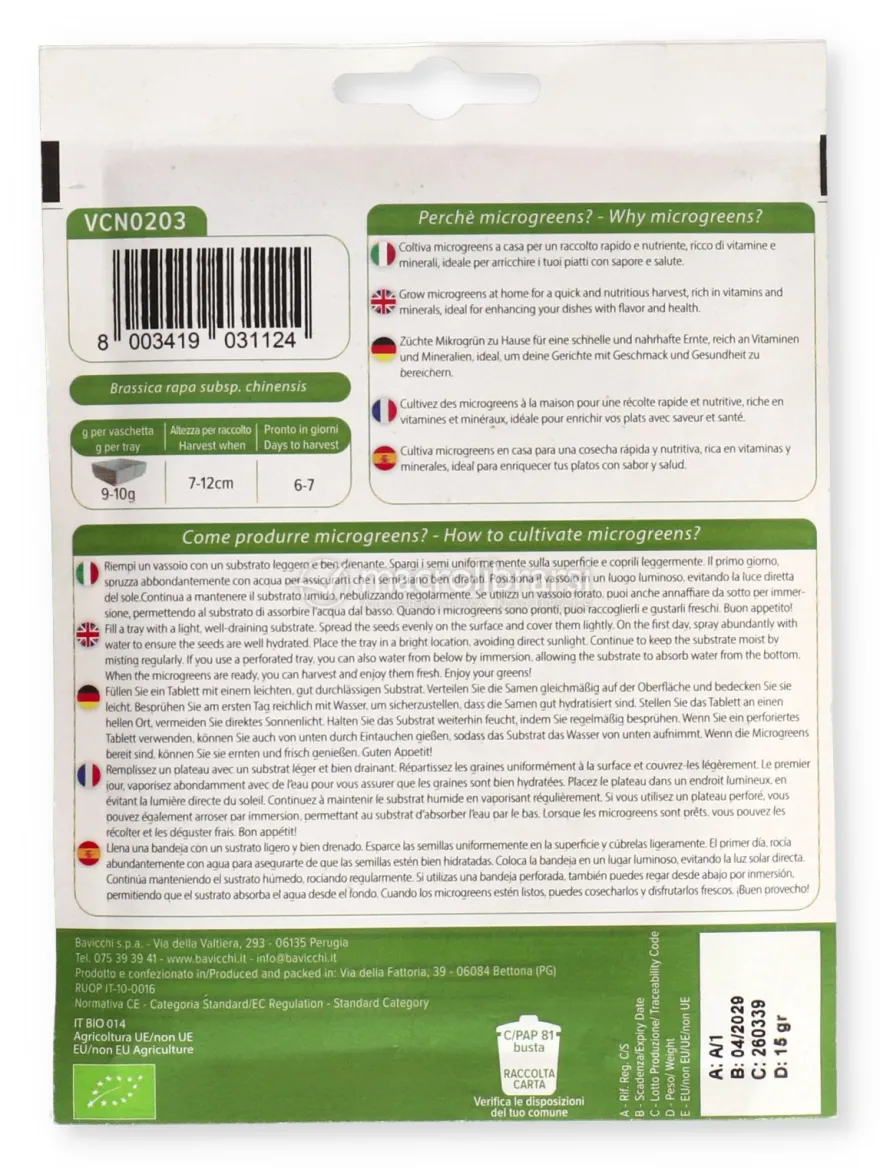 Germogli di Cavolo Pack Choi Verde Bio - Geo Microgreens