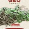 Germogli di Finocchio