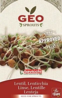 Germogli di Lenticchia Bio