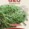 Germogli di Porro