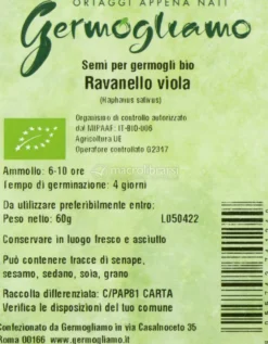 Germogli - Ravanello Viola