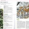 Giardino da Manuale