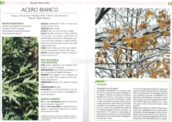 Giardino da Manuale