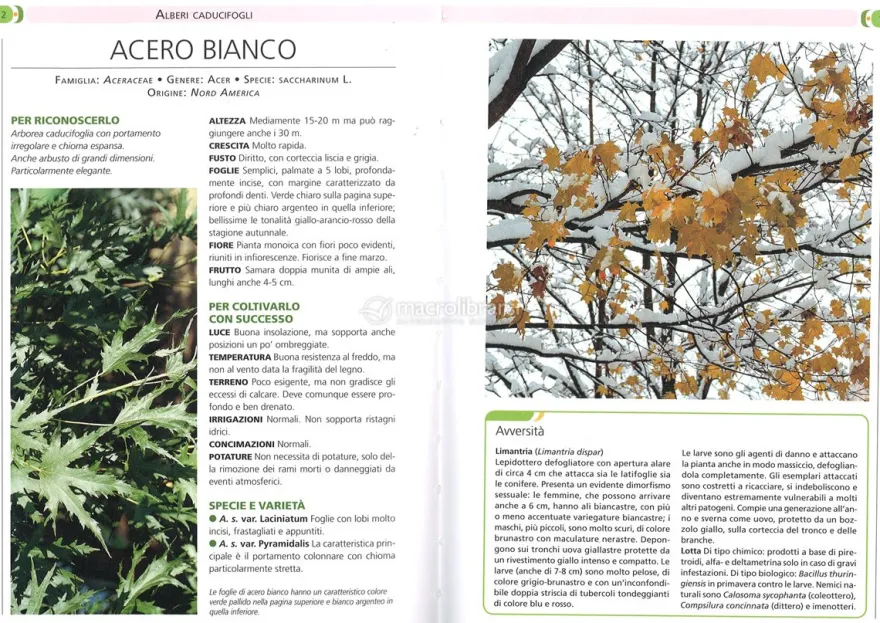 Giardino da Manuale