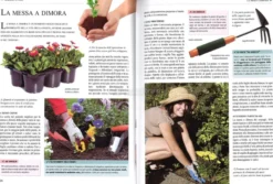 Giardino in Vaso