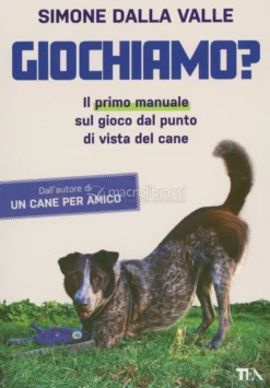 Giochiamo?