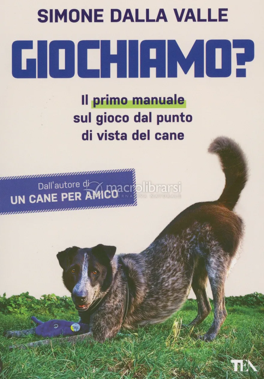 Giochiamo?