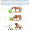 50 Giochi e Attività per Educare il tuo Cavallo