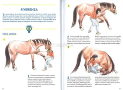 50 Giochi e Attività per Educare il tuo Cavallo