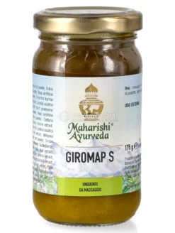 Giromap S