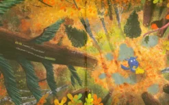 Gita nel Bosco