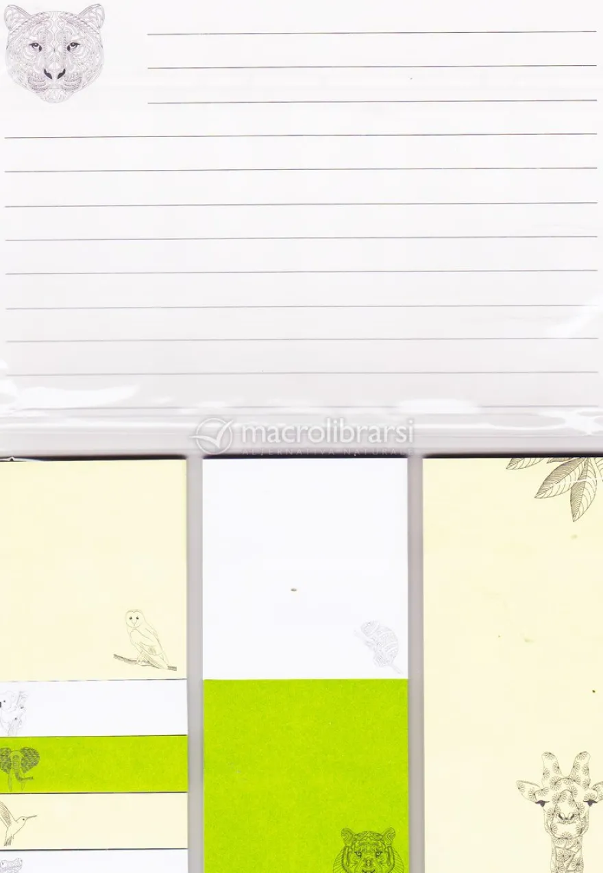 Giungla Misteriosa - Sticky Notes
