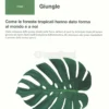 Giungle