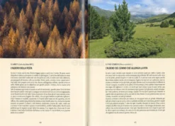 Gli Alberi delle Streghe