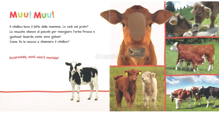Gli Animali della Fattoria