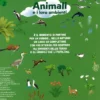 Gli Animali e i Loro Ambienti