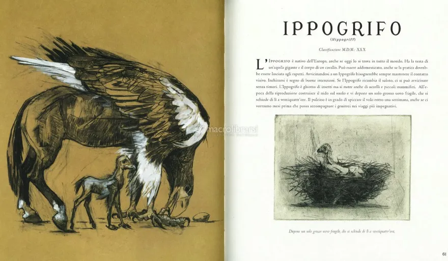 Gli Animali Fantastici: Dove Trovarli