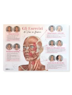 Gli Esercizi di Viso in Forma