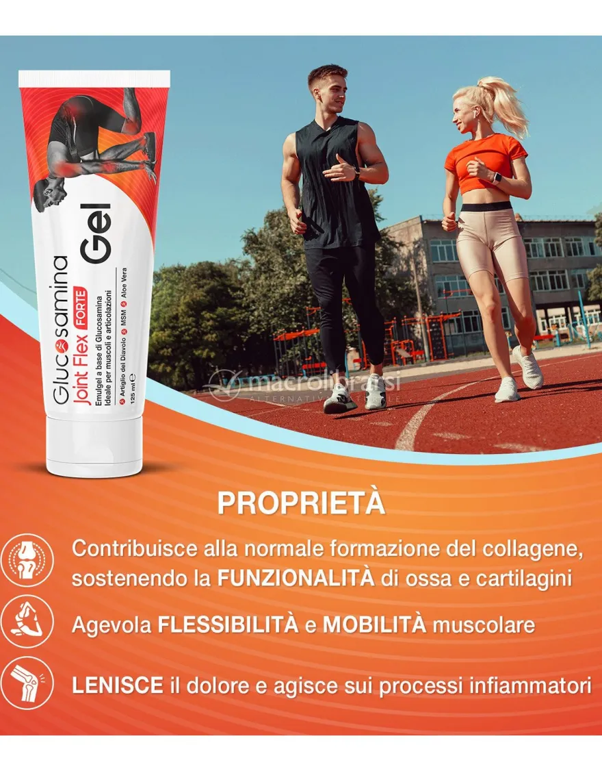 Glucosamina Joint Flex Gel Forte