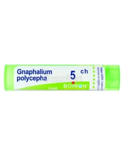 Gnaphalium Polycephalum 5CH Granuli Boiron