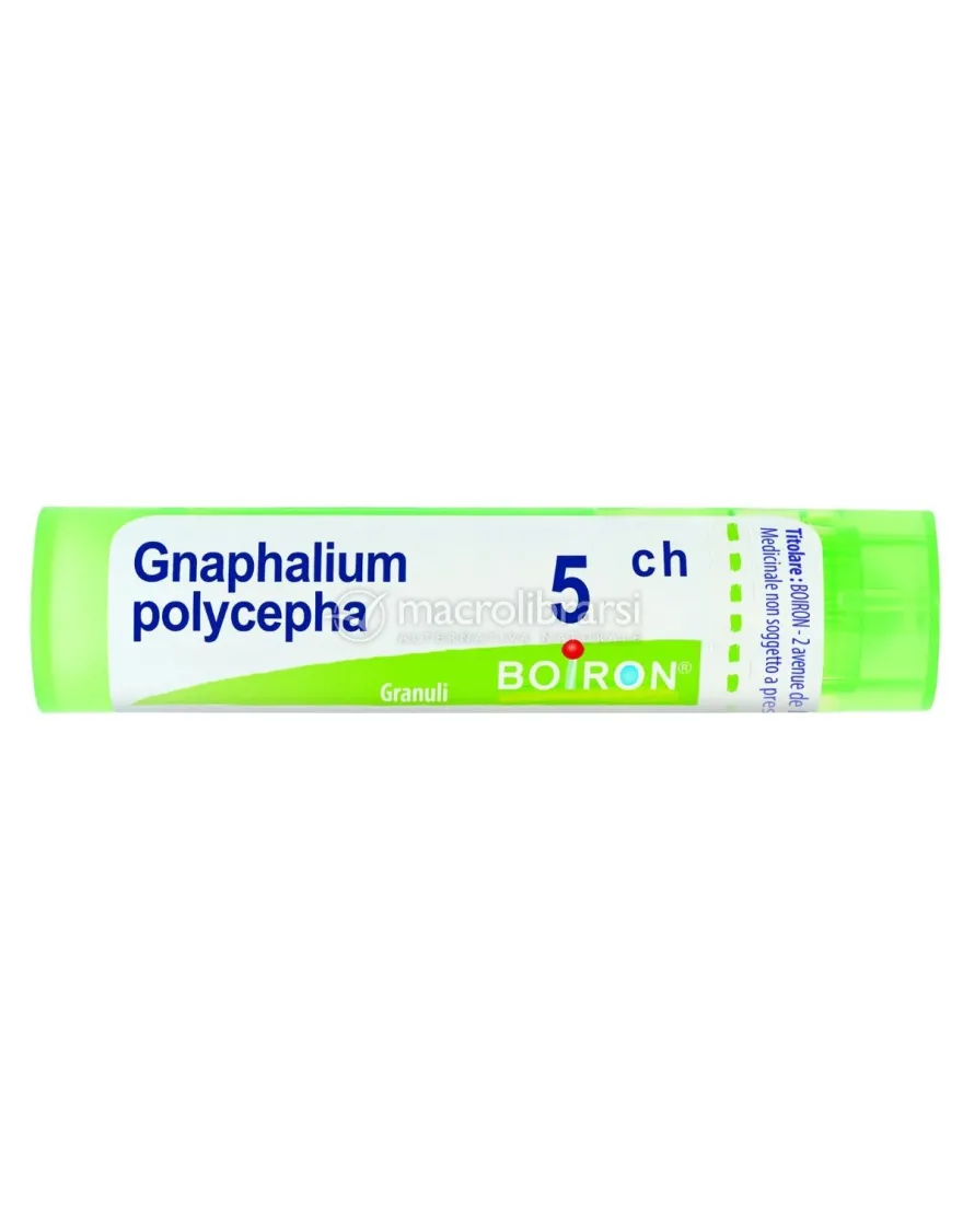 Gnaphalium Polycephalum 5CH Granuli Boiron
