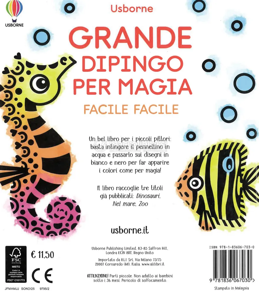 Grande Dipingo per Magia Facile Facile