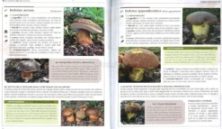 Grande Libro dei Funghi