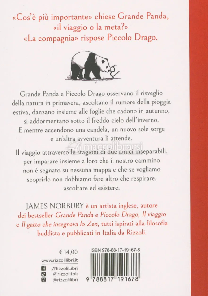 Grande Panda e Piccolo Drago